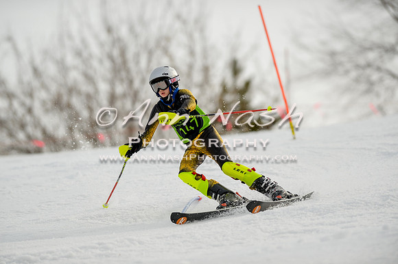 alpine-Feb19-2017-DSC_0840