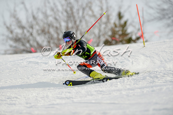alpine-Feb19-2017-DSC_1364