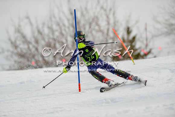 alpine-Feb19-2017-DSC_0324