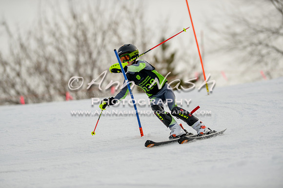 alpine-Feb19-2017-DSC_0614