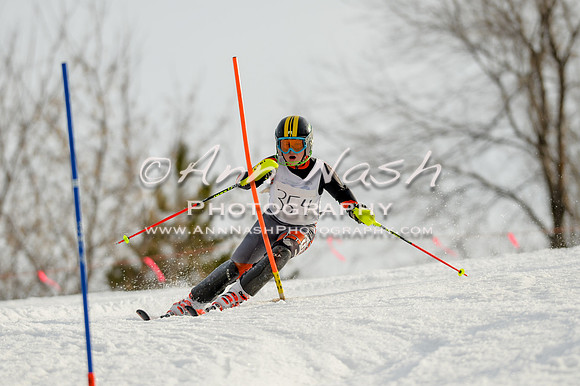 alpine-Feb19-2017-DSC_1355