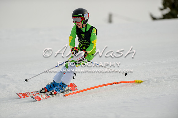 alpine-Feb19-2017-DSC_0774
