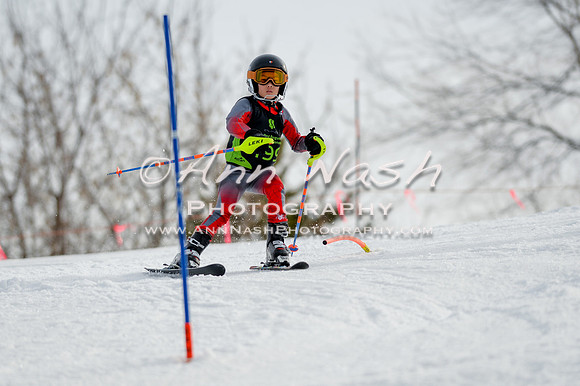 alpine-Feb19-2017-DSC_0873
