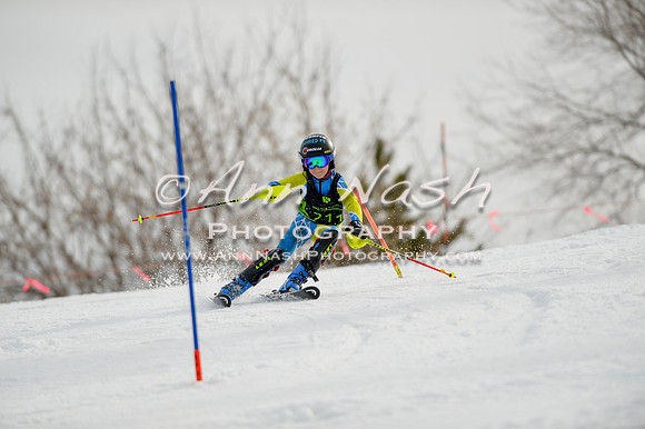 alpine-Feb19-2017-DSC_0332