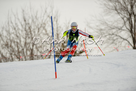 alpine-Feb19-2017-DSC_0713