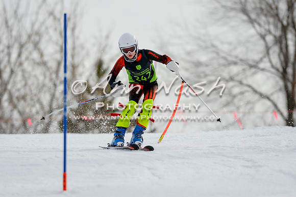 alpine-Feb19-2017-DSC_0401