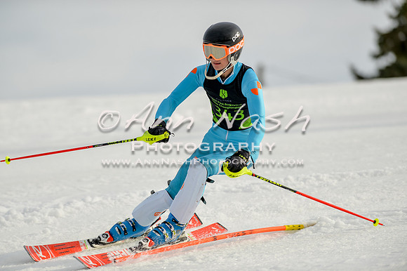 alpine-Feb19-2017-DSC_1299