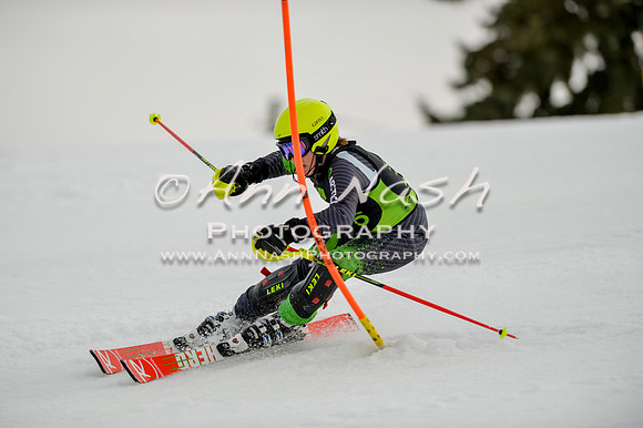 alpine-Feb19-2017-DSC_0731