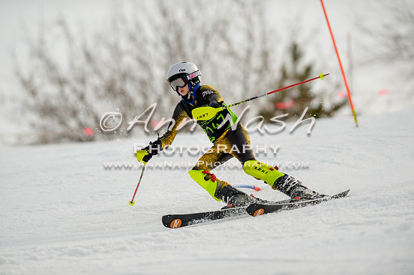alpine-Feb19-2017-DSC_0841