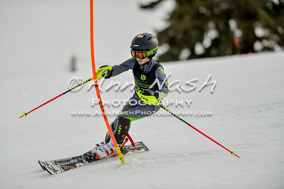alpine-Feb19-2017-DSC_0616