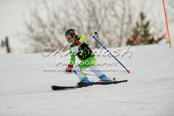 alpine-Feb19-2017-DSC_0771
