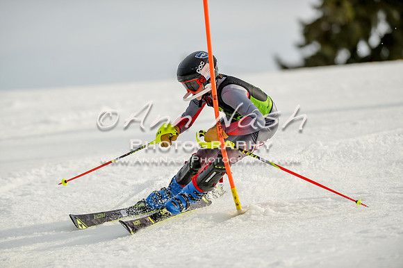 alpine-Feb19-2017-DSC_1345