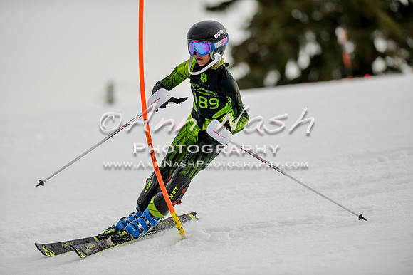 alpine-Feb19-2017-DSC_0745