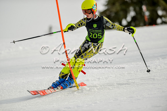 alpine-Feb19-2017-DSC_0884
