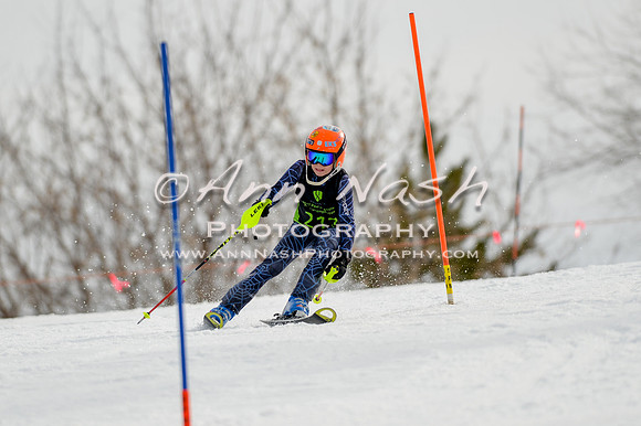 alpine-Feb19-2017-DSC_0284