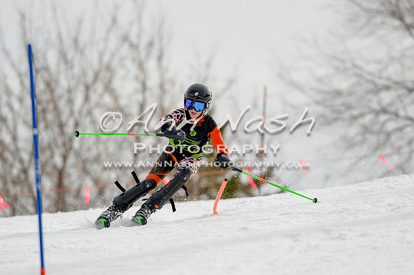 alpine-Feb19-2017-DSC_0273