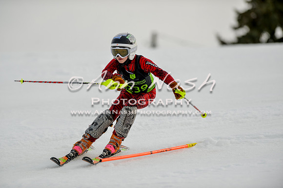 alpine-Feb19-2017-DSC_0673