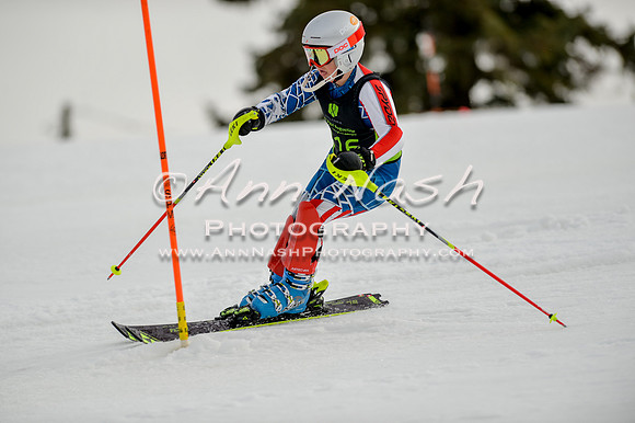 alpine-Feb19-2017-DSC_0717