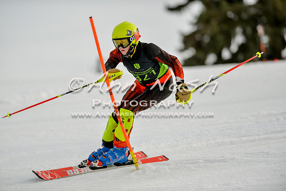 alpine-Feb19-2017-DSC_1001