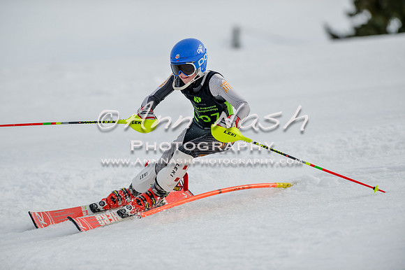 alpine-Feb19-2017-DSC_1110