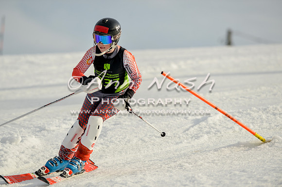 alpine-Feb19-2017-DSC_1450