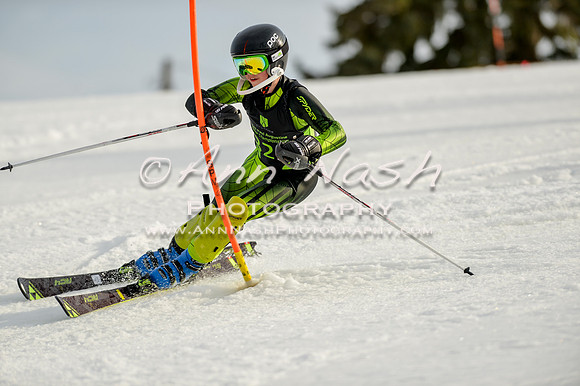 alpine-Feb19-2017-DSC_1429