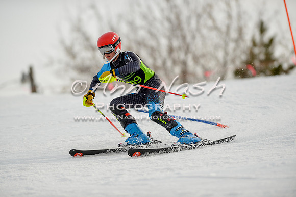 alpine-Feb19-2017-DSC_1013