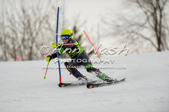 alpine-Feb19-2017-DSC_0727