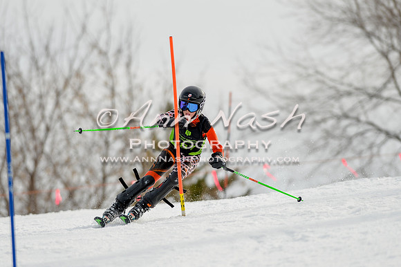 alpine-Feb19-2017-DSC_0272