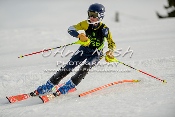 alpine-Feb19-2017-DSC_1239