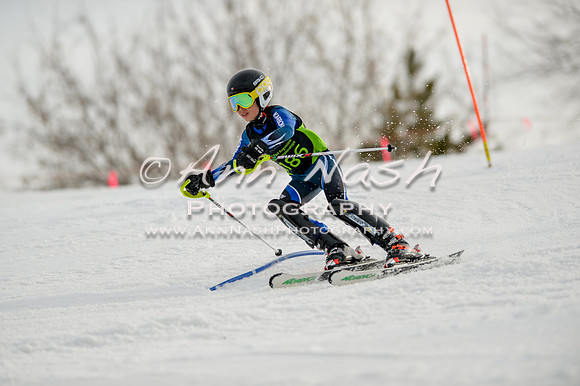 alpine-Feb19-2017-DSC_0924