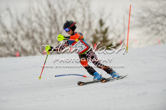 alpine-Feb19-2017-DSC_0540