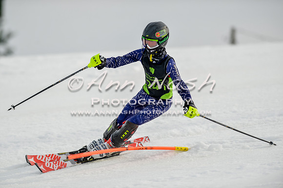 alpine-Feb19-2017-DSC_0328