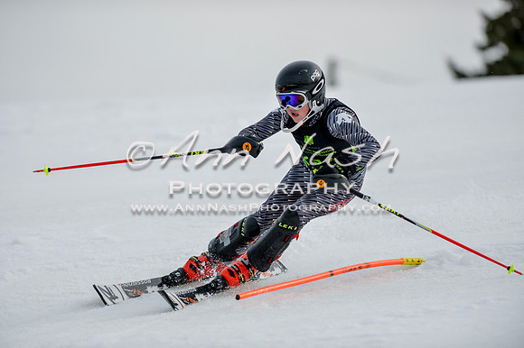 alpine-Feb19-2017-DSC_0553