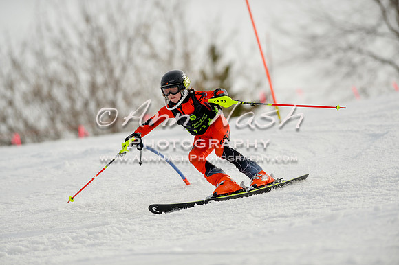alpine-Feb19-2017-DSC_0821