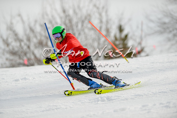 alpine-Feb19-2017-DSC_0231