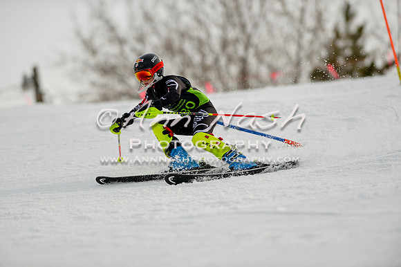 alpine-Feb19-2017-DSC_0993
