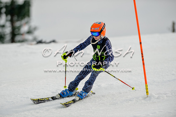 alpine-Feb19-2017-DSC_0288