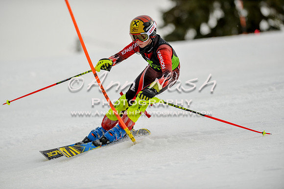 alpine-Feb19-2017-DSC_0759