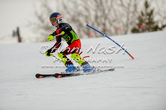 alpine-Feb19-2017-DSC_0626