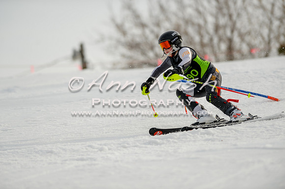 alpine-Feb19-2017-DSC_0894