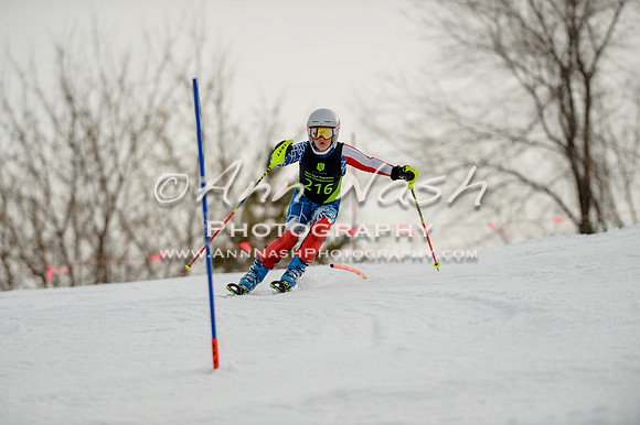 alpine-Feb19-2017-DSC_0712