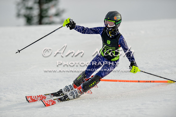 alpine-Feb19-2017-DSC_0329