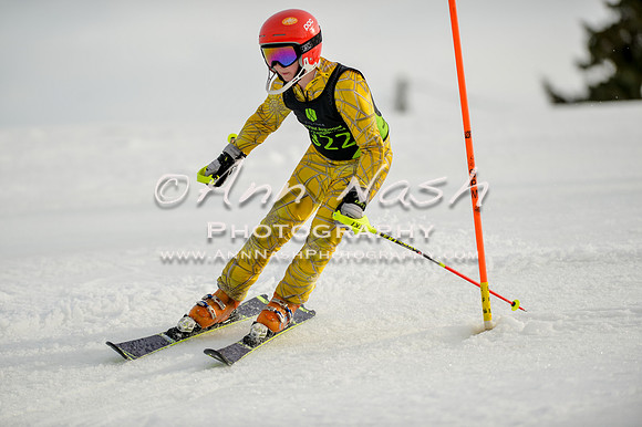 alpine-Feb19-2017-DSC_1194
