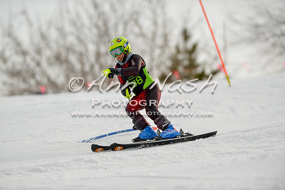 alpine-Feb19-2017-DSC_0853
