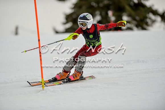 alpine-Feb19-2017-DSC_0670