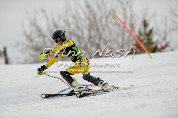 alpine-Feb19-2017-DSC_0299