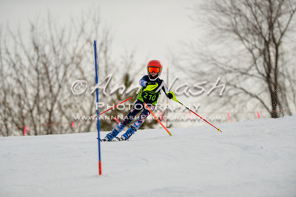 alpine-Feb19-2017-DSC_0530