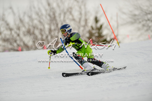alpine-Feb19-2017-DSC_0567