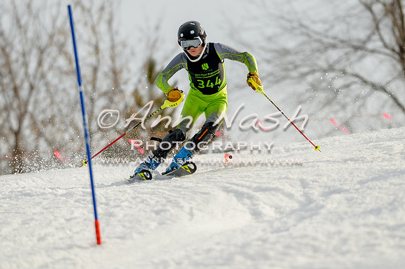 alpine-Feb19-2017-DSC_1402
